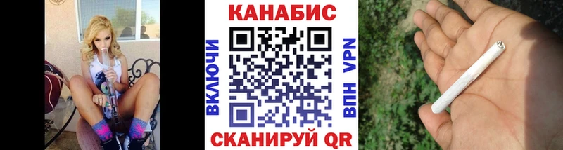 как найти наркотики  Щучье  MEGA ССЫЛКА  Канабис планчик 